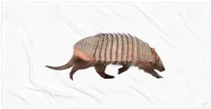 Armadilloon White Background PNG Image