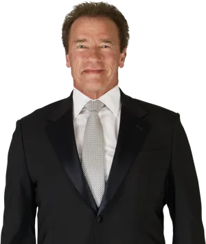 Arnold Schwarzenegger Portraitin Suit PNG Image