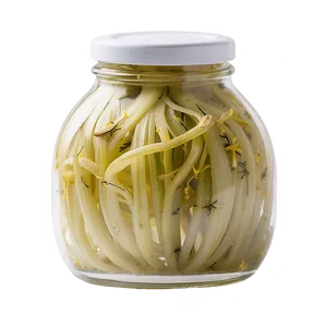 Aromatic Pickled Fennel Png 85 PNG Image