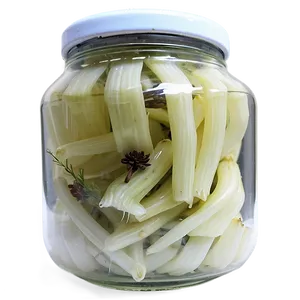 Aromatic Pickled Fennel Png 85 PNG Image