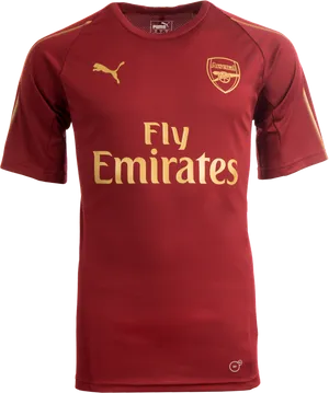 Arsenal Fly Emirates Jersey PNG Image