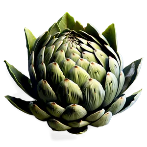 Artichoke Icon Png 37 PNG Image