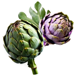 Artichoke Pattern Png 06252024 PNG Image