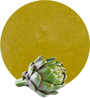 Artichokeon Mustard Backdrop.png PNG Image