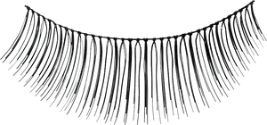 Artificial Eyelashes Black Background PNG Image