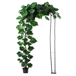 Artificial Ivy Plant Png Vet80 PNG Image