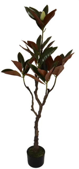 Artificial Magnolia Tree Decoration PNG Image