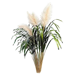 Artificial Pampas Grass Png 06122024 PNG Image