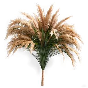 Artificial Pampas Grass Png Afs PNG Image