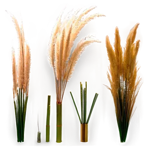 Artificial Pampas Grass Png Epk PNG Image