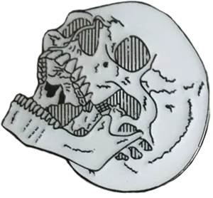 Artistic Skull Drawing PNG Image