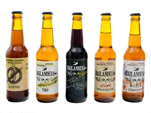 Assorted Artisanal Beer Bottles PNG Image