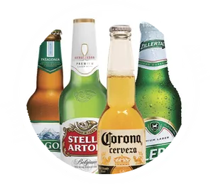 Assorted Beer Bottles Collection PNG Image