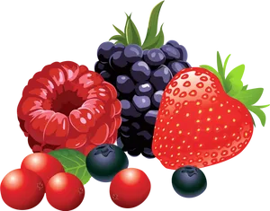 Assorted Berries Illustration PNG Image