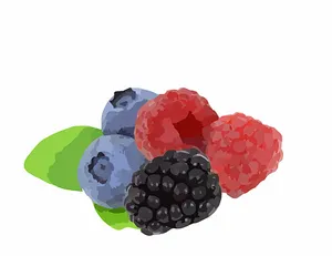 Assorted Berries Illustration PNG Image