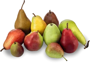 Assorted Fresh Pears Varieties PNG Image