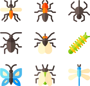 Assorted Insect Icons Set PNG Image