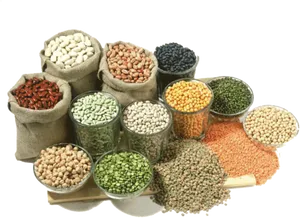 Assorted Legumesand Beans Variety PNG Image