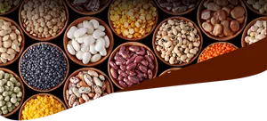 Assorted Legumesand Nuts Variety PNG Image