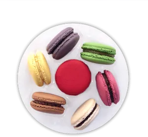 Assorted Macaronson Plate PNG Image