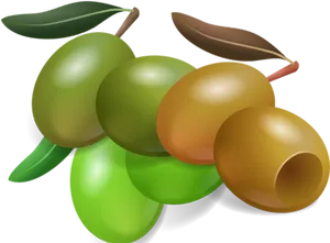 Assorted Oliveswith Leaves PNG Image