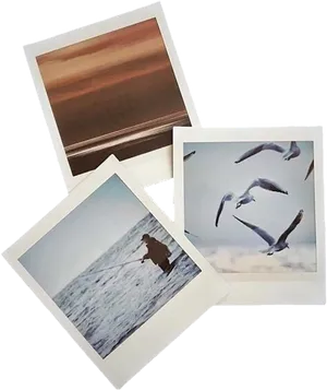 Assorted Photography Prints Collection PNG Image