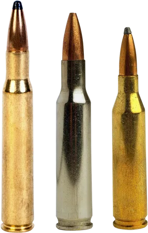 Assorted Rifle Cartridges PNG Image