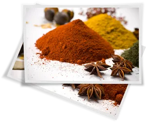 Assorted Spices Display PNG Image