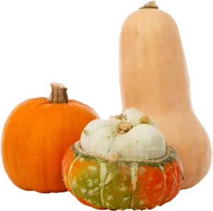 Assorted Squash Varieties PNG Image