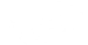 Asus R O G Logo File PNG Image