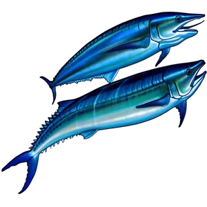 Atlantic Blue Marlin Png 62 PNG Image