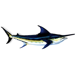 Atlantic Blue Marlin Png Cjx PNG Image