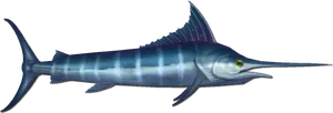 Atlantic Swordfish Side View PNG Image