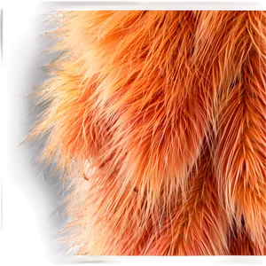 Auburn Fox Fur Png Yra24 PNG Image