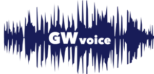 Audio Waveform G Wvoice Logo PNG