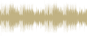 Audio Waveform Visualization PNG Image