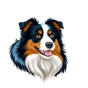 Australian Shepherd Portrait Png Yab86 PNG Image