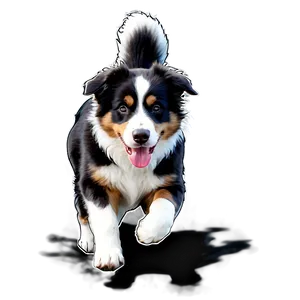 Australian Shepherd Running Png Vdo70 PNG Image