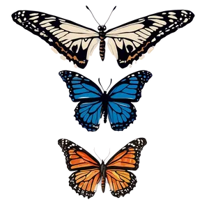 Authentic Butterfly Graphic Png Dgx18 PNG Image