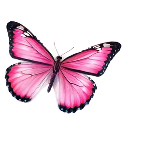 Authentic Pink Butterfly Image Png Tht92 PNG Image