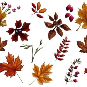 Autumn Blooms Png Uff92 PNG Image