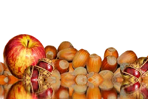 Autumn Harvest Reflection