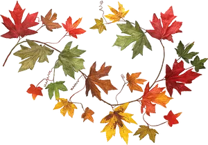 Autumn Leaf Garland PNG Image