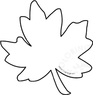 Autumn Leaf Outline PNG Image