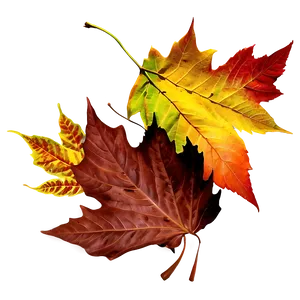 Autumn Leaf Pile Png Vad60 PNG Image