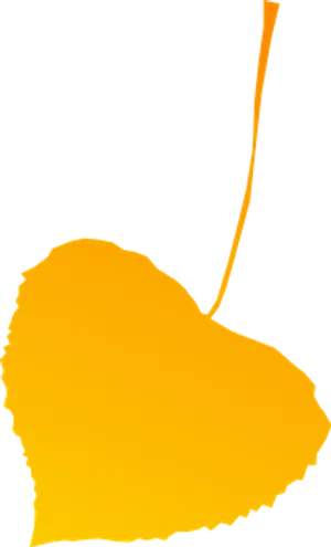 Autumn_ Leaf_ Silhouette_ Against_ Black_ Background.jpg PNG