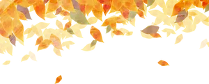 Autumn_ Leaves_ Border_ Design PNG Image