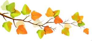 Autumn Leaves Branch Illustration PNG Image