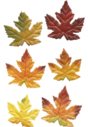 Autumn_ Leaves_ Collection.jpg PNG Image