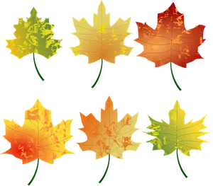 Autumn_ Leaves_ Collection_ Vector PNG Image